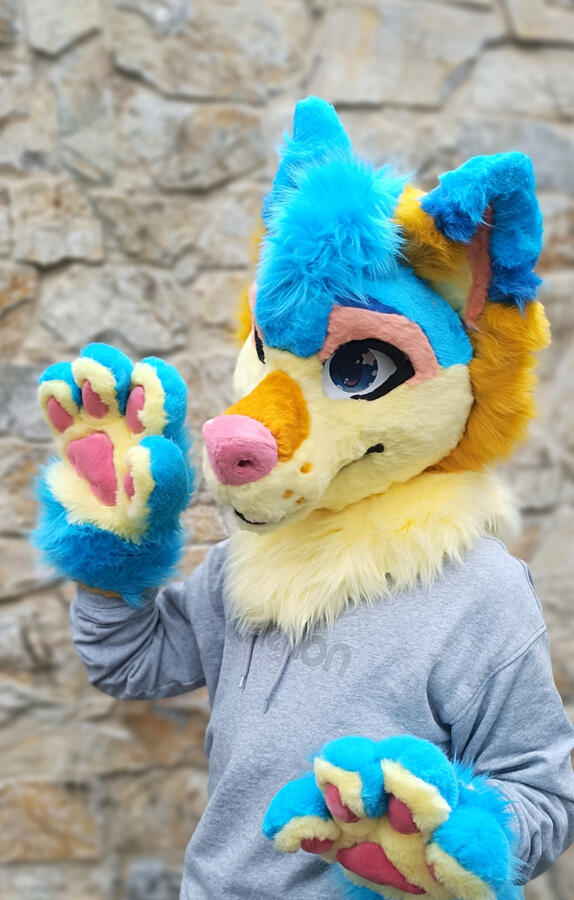 Blueberry Premade 2025